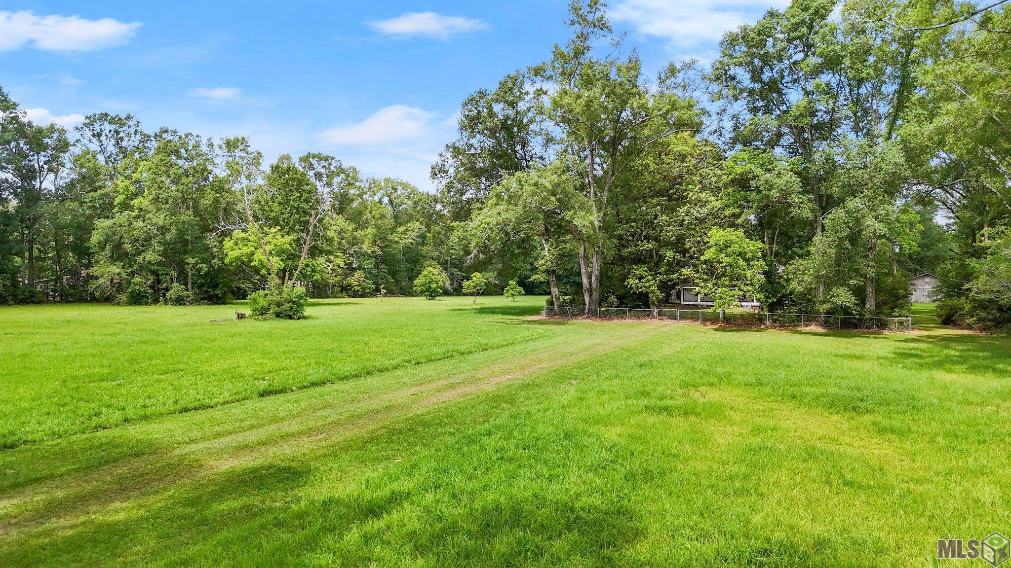 29809 South Cafe Line Road Albany, LA 70711 - Photo 27 of 31