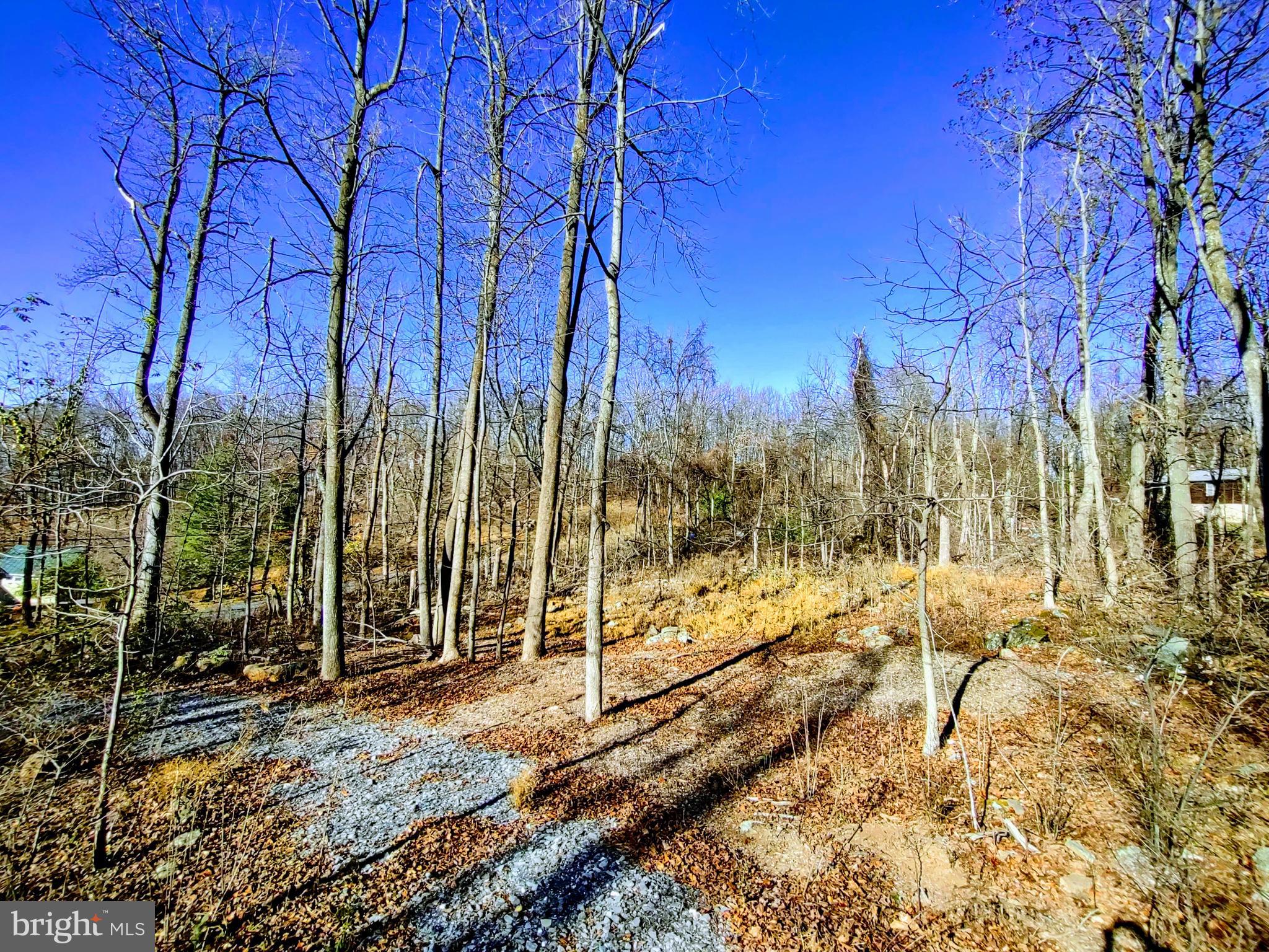 Source Lane Linden, VA 22642 - Photo 1 of 13