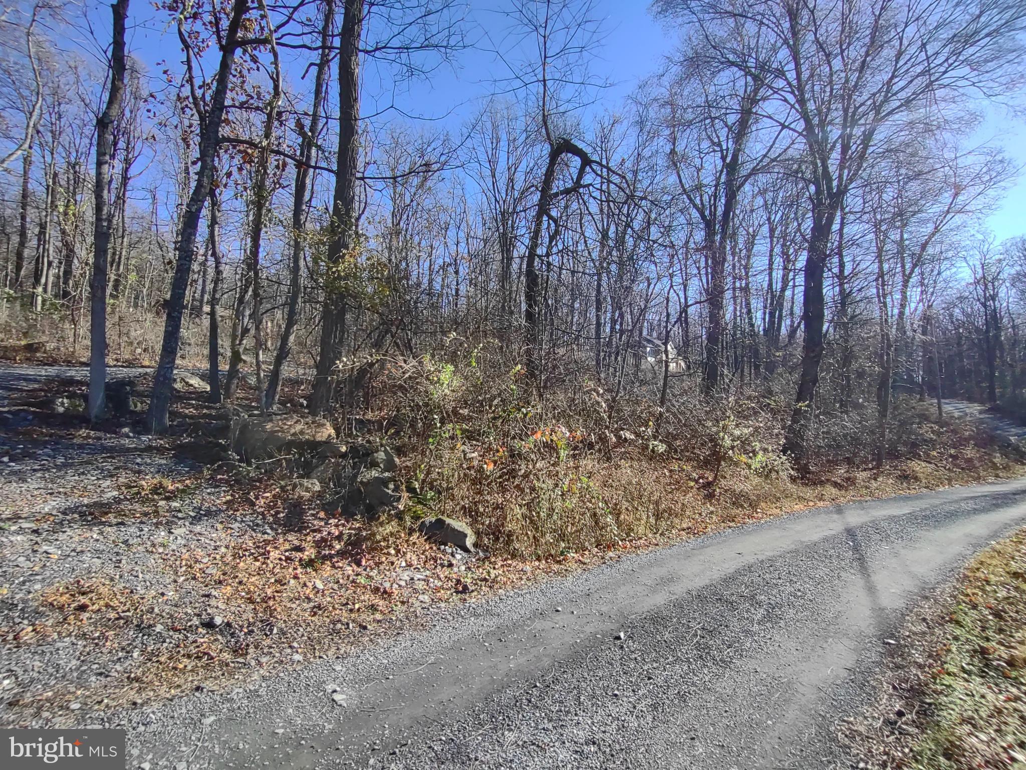Source Lane Linden, VA 22642 - Photo 11 of 13