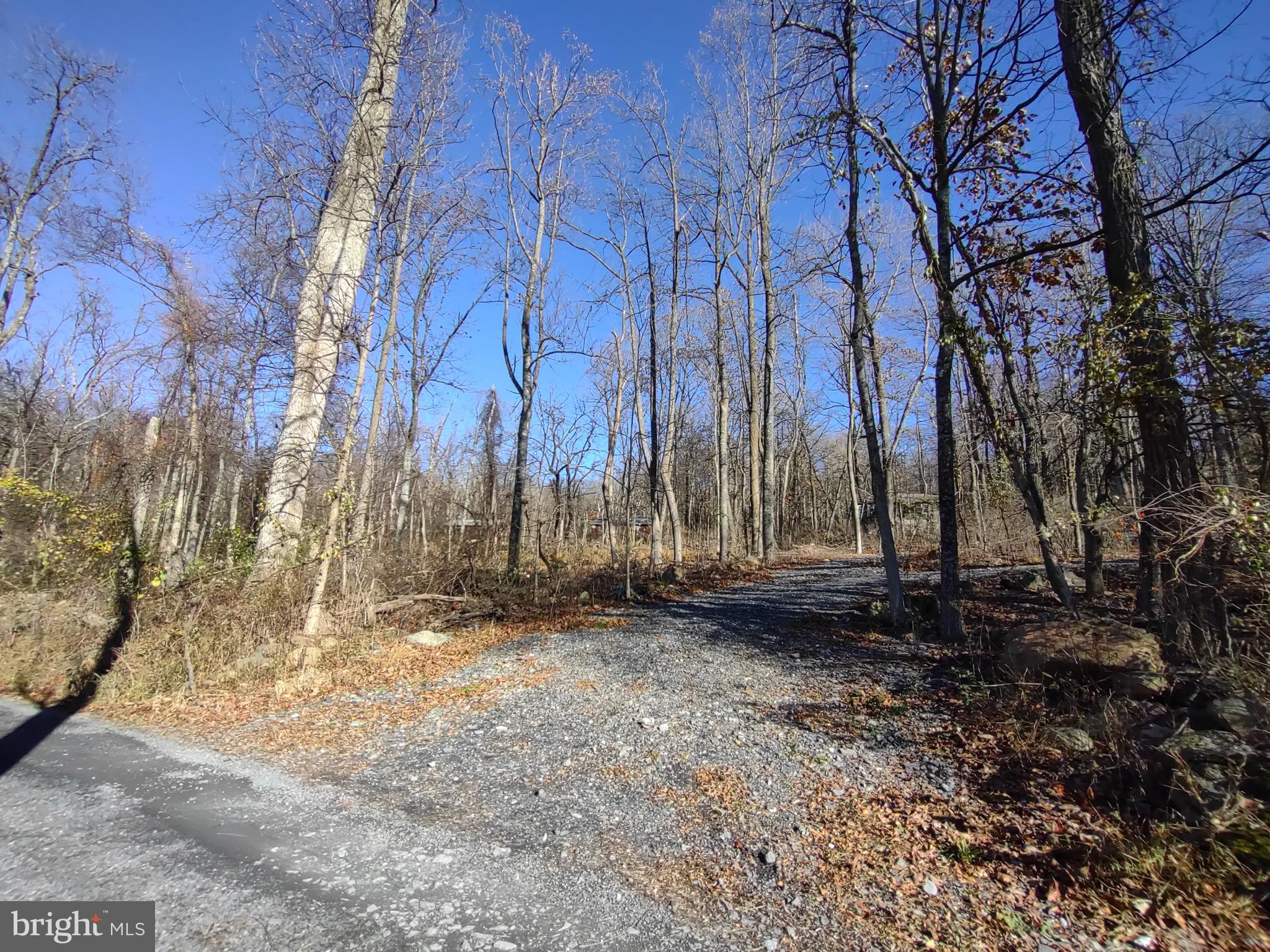Source Lane Linden, VA 22642 - Photo 12 of 13