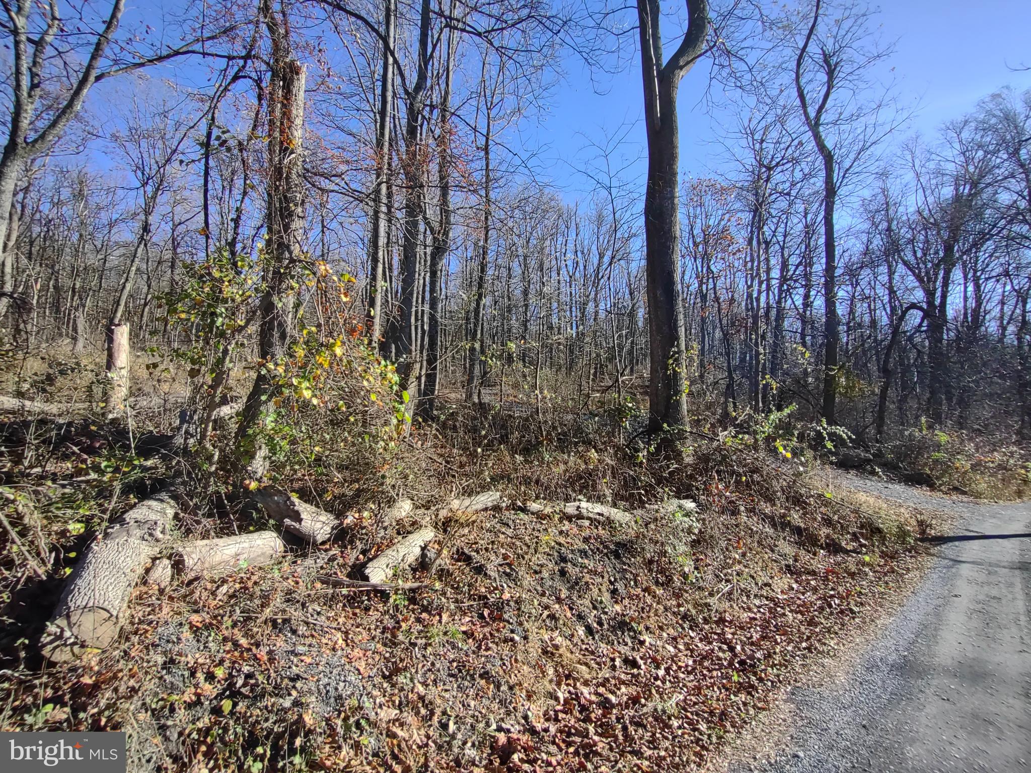 Source Lane Linden, VA 22642 - Photo 13 of 13