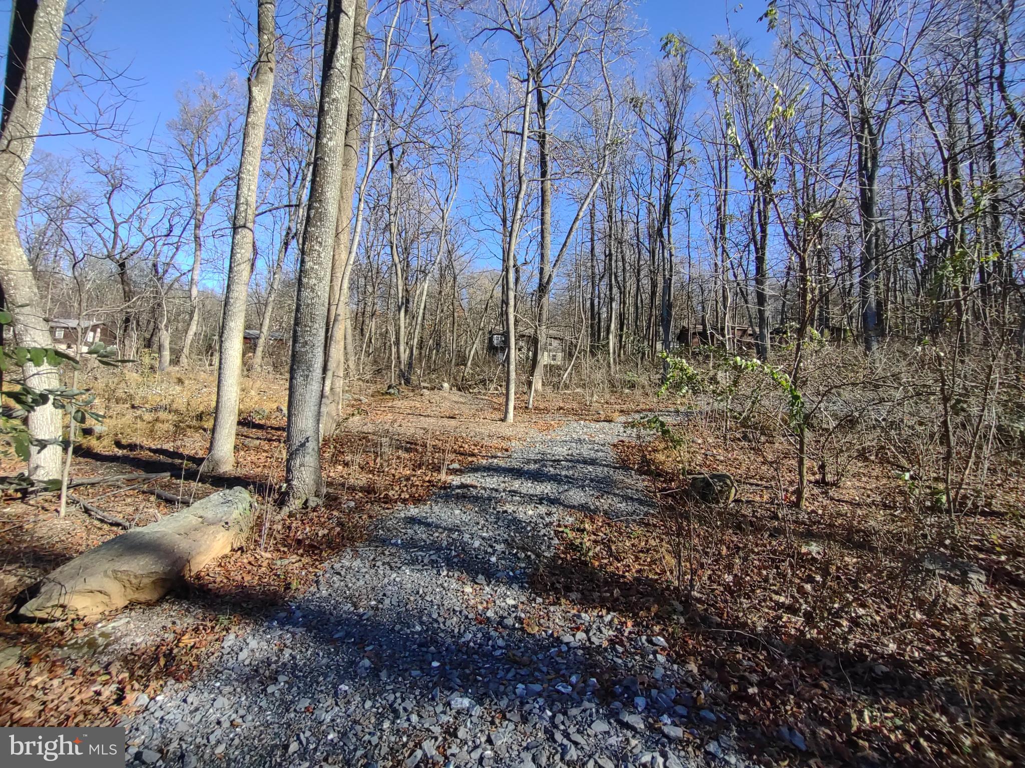 Source Lane Linden, VA 22642 - Photo 4 of 13