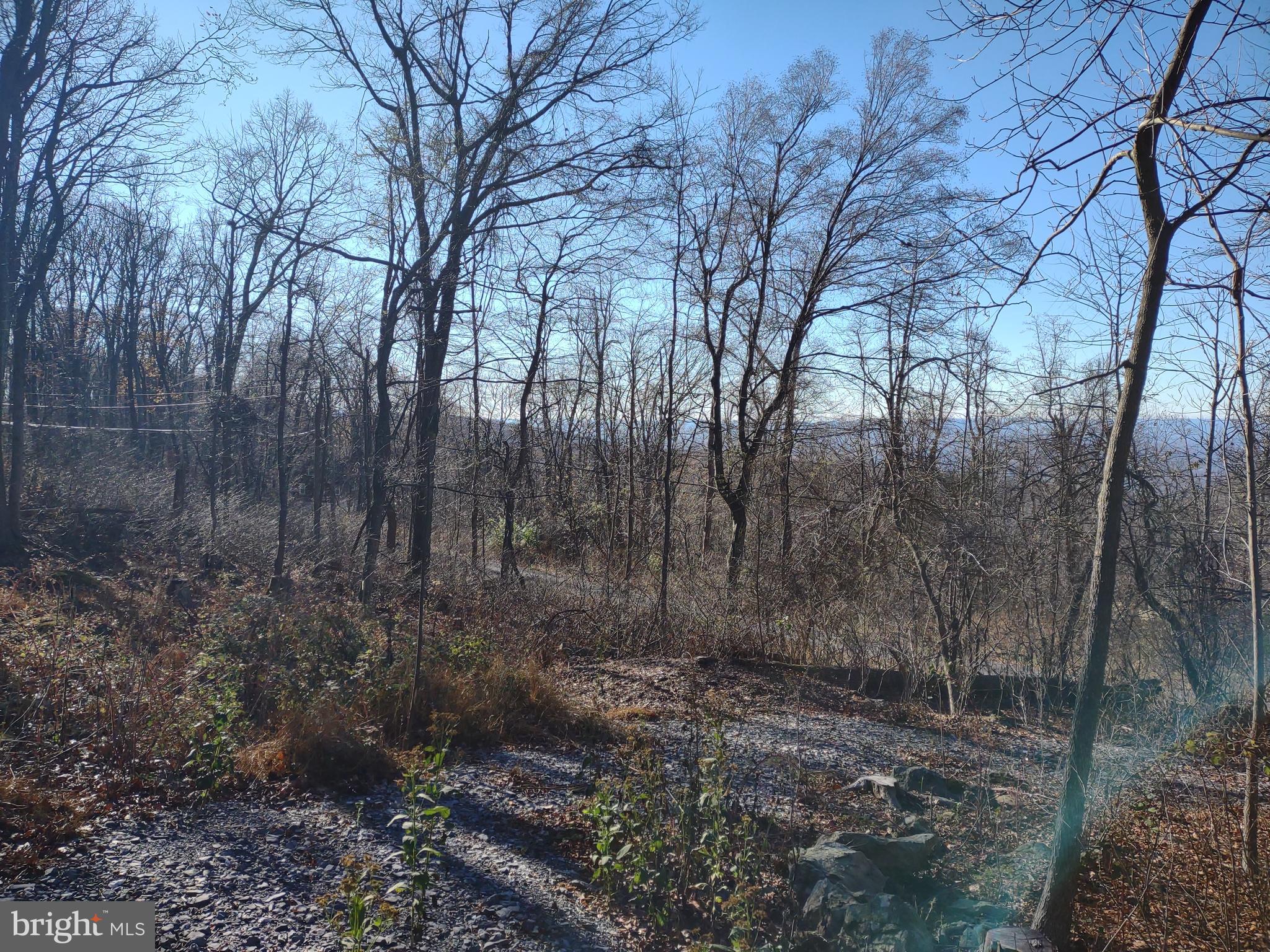 Source Lane Linden, VA 22642 - Photo 5 of 13