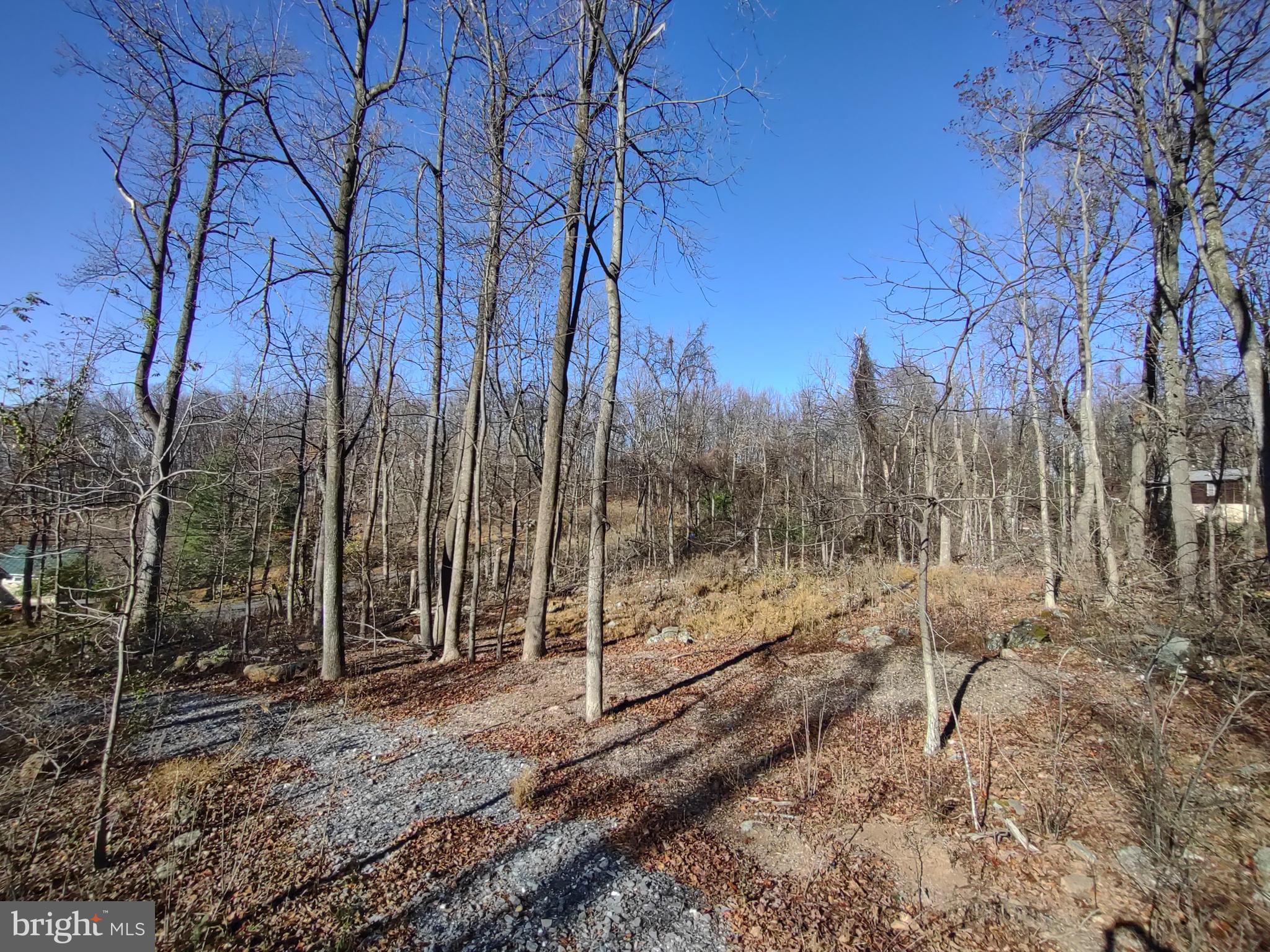 Source Lane Linden, VA 22642 - Photo 6 of 13