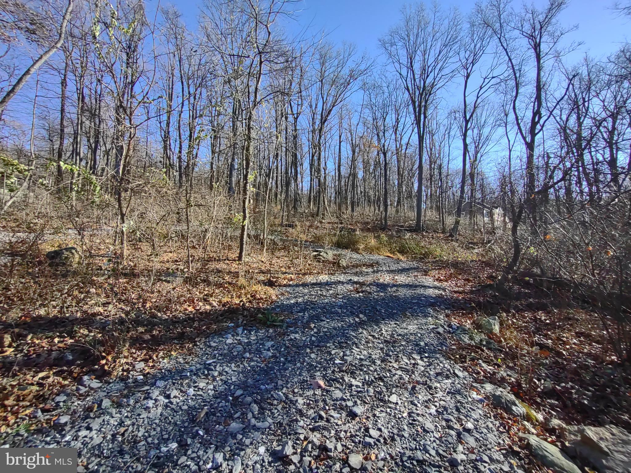 Source Lane Linden, VA 22642 - Photo 8 of 13