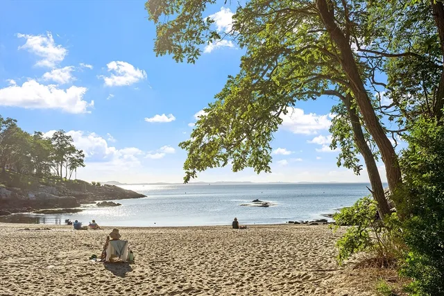 a view of a lake with a mountain