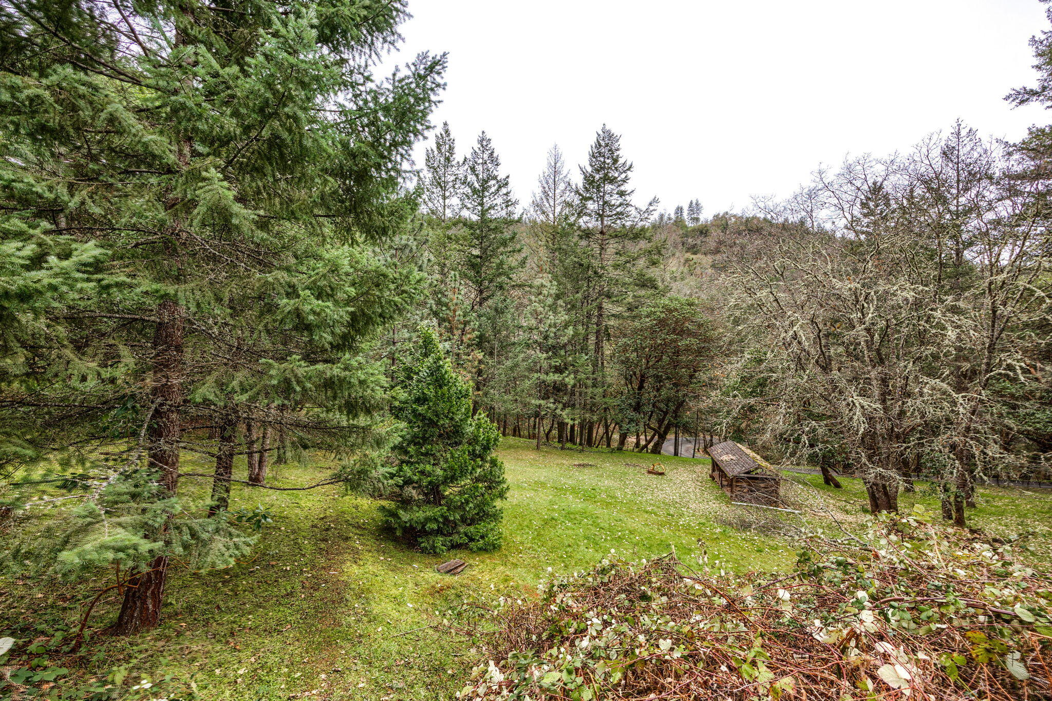 2109 Knowles Road Medford, OR 97501 - Photo 67 of 67 67-web-or-mls-ApxKR (67)