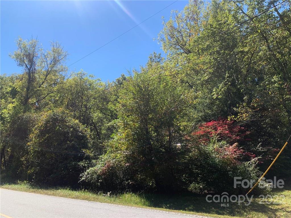 174 Roper Road East Flat Rock, NC 28726 - Photo 2 of 4 Gallery Image 2
