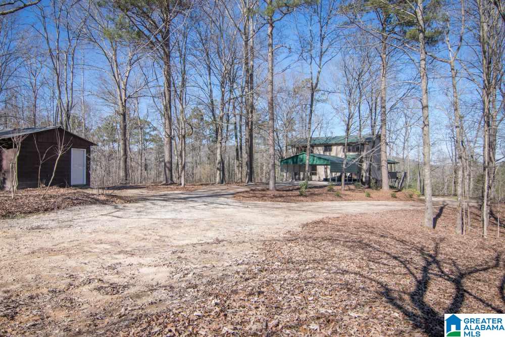 504 Evergreen Drive Springville, AL 35146 - Photo 31 of 38 Gallery Image 31