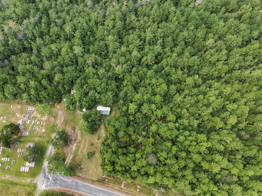 1292 Alston Cemetery Road Dequincy, LA 70633 - Photo 8 of 9 Gallery Image 8