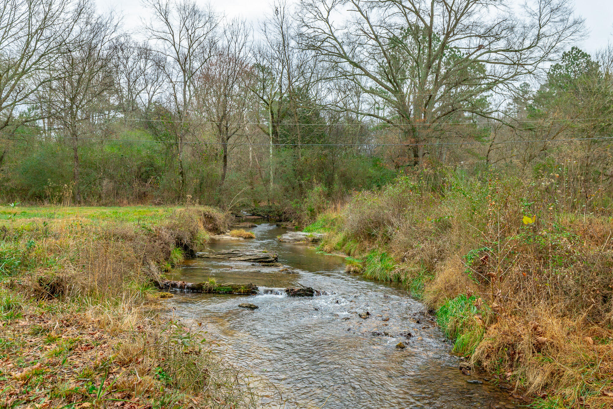 17278 Highway 27 Trion, GA 30753 - Photo 11 of 95 17276 US-27 HD-93