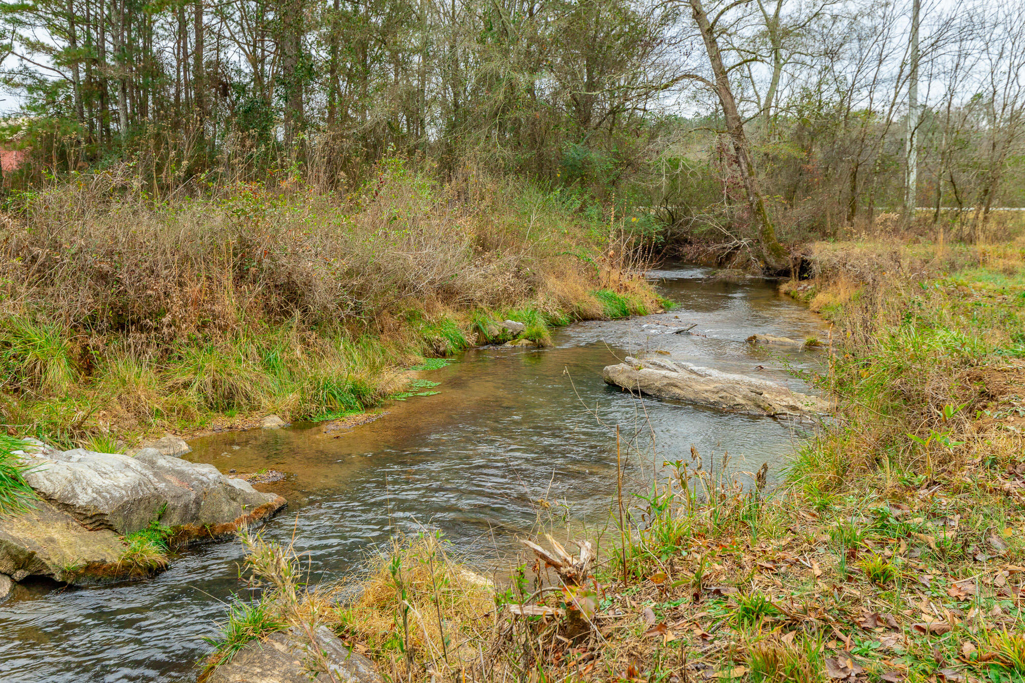 17278 Highway 27 Trion, GA 30753 - Photo 67 of 95 17276 US-27 HD-96