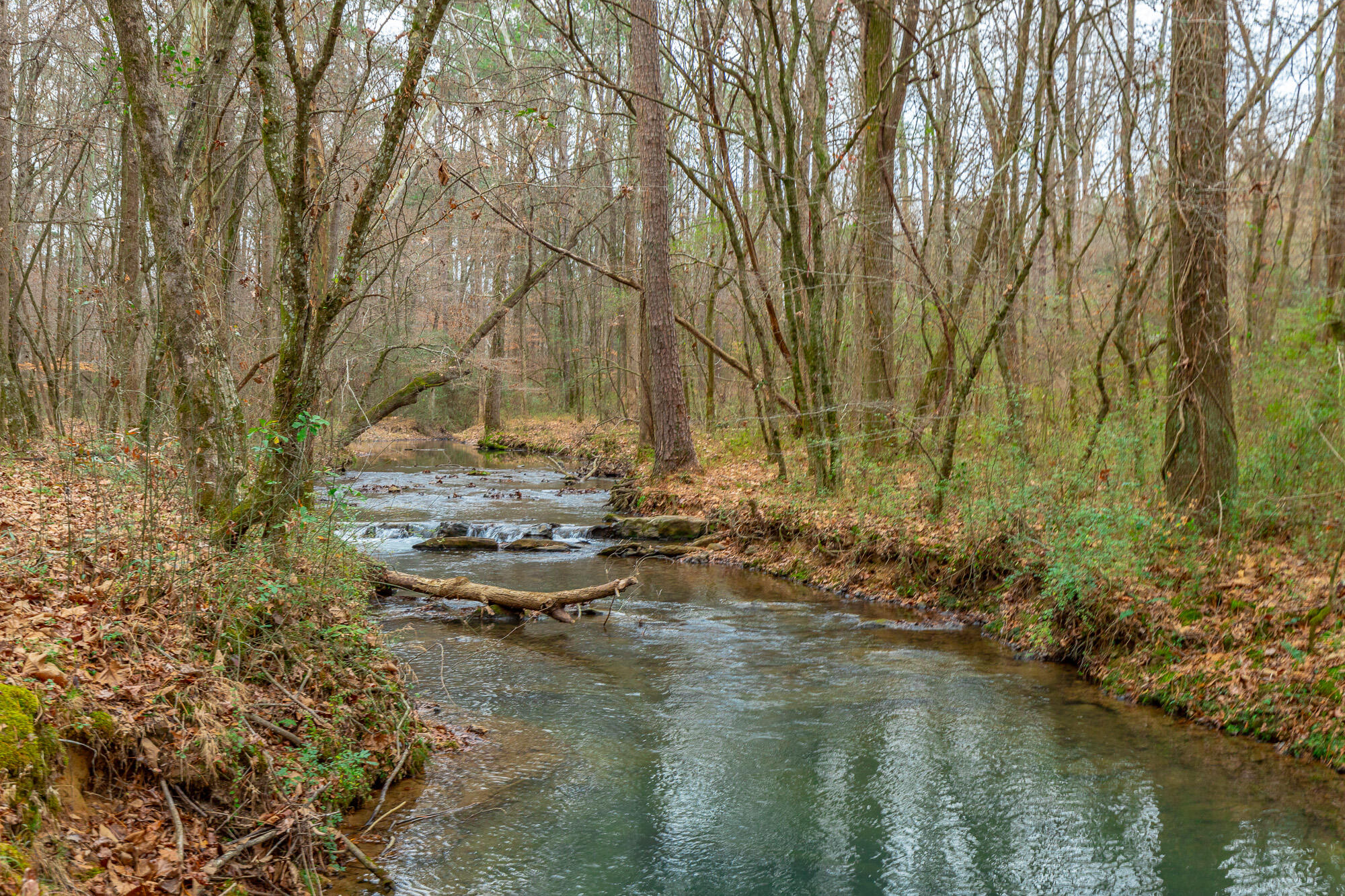 17278 Highway 27 Trion, GA 30753 - Photo 70 of 95 17276 US-27 HD-102