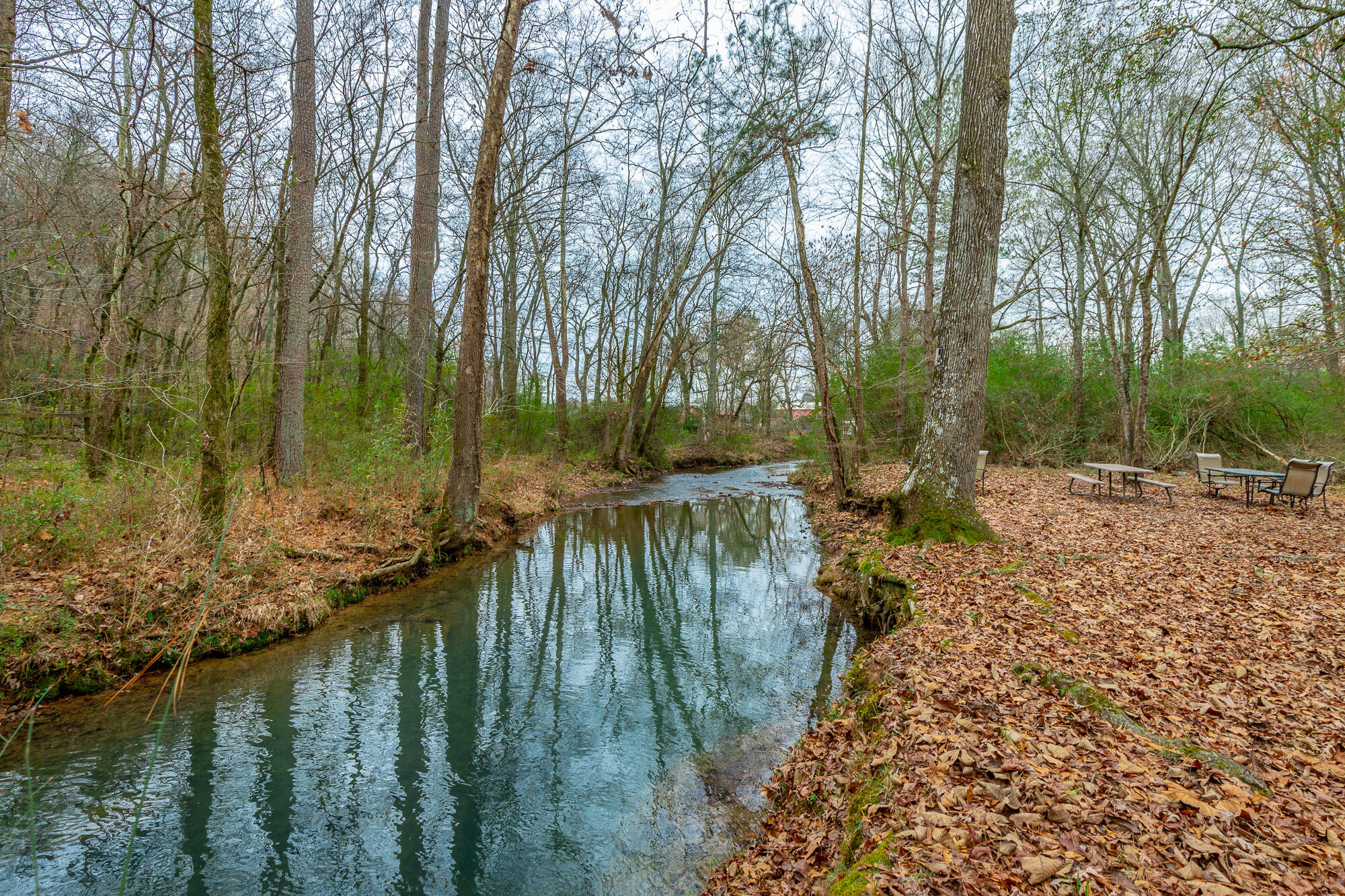 17278 Highway 27 Trion, GA 30753 - Photo 72 of 95 17276 US-27 HD-104