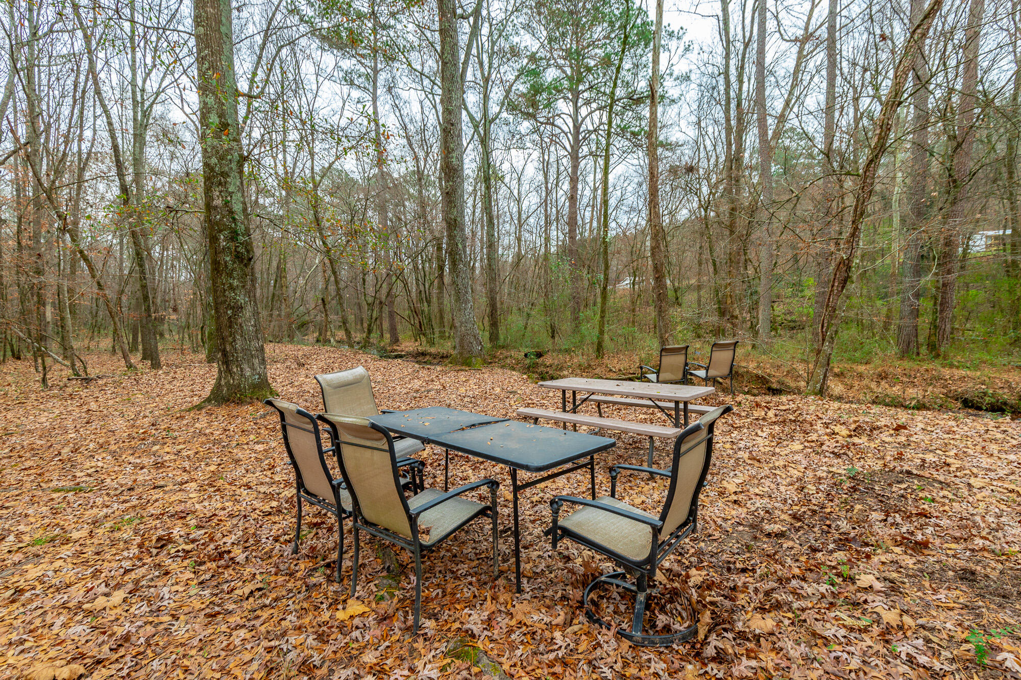 17278 Highway 27 Trion, GA 30753 - Photo 73 of 95 17276 US-27 HD-105