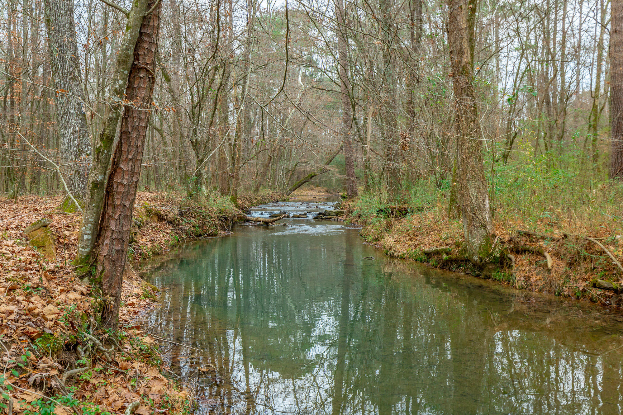 17278 Highway 27 Trion, GA 30753 - Photo 75 of 95 17276 US-27 HD-108