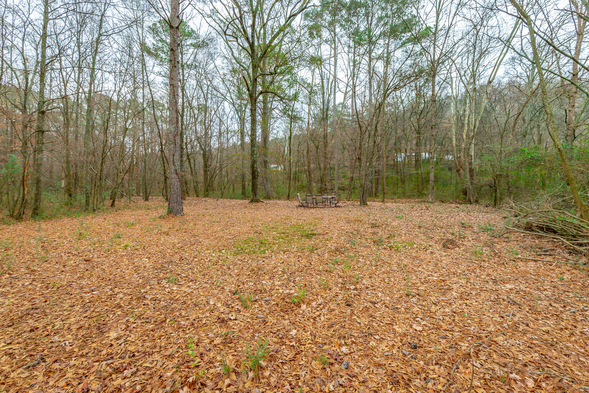 17278 Highway 27 Trion, GA 30753 - Photo 77 of 95 17276 US-27 HD-111