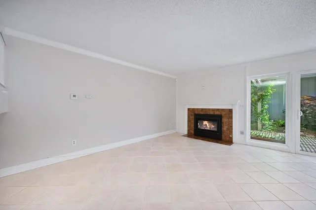 a living room with furniture a fireplace and a potted plant