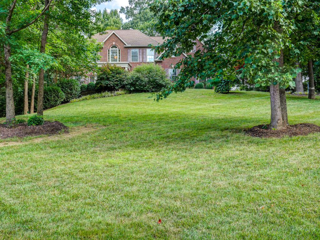 131 Allison Timbers Road Piney Flats, TN 37686 - Photo 4 of 79 131 Allison Timbers Rd MLS002