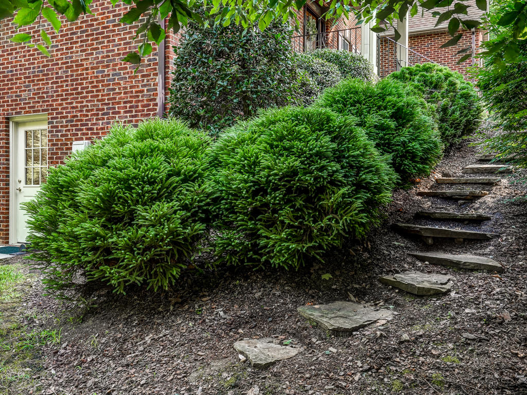 131 Allison Timbers Road Piney Flats, TN 37686 - Photo 69 of 79 131 Allison Timbers Rd MLS019