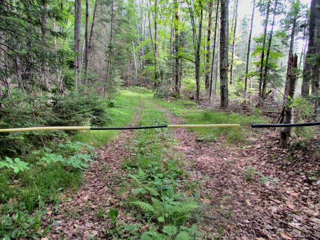 Lot 3 Ed's Lake Road Crandon, WI 54520 - Photo 17 of 20 Gallery Image 17