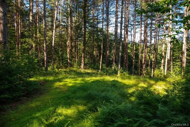 a backyard of building with trees