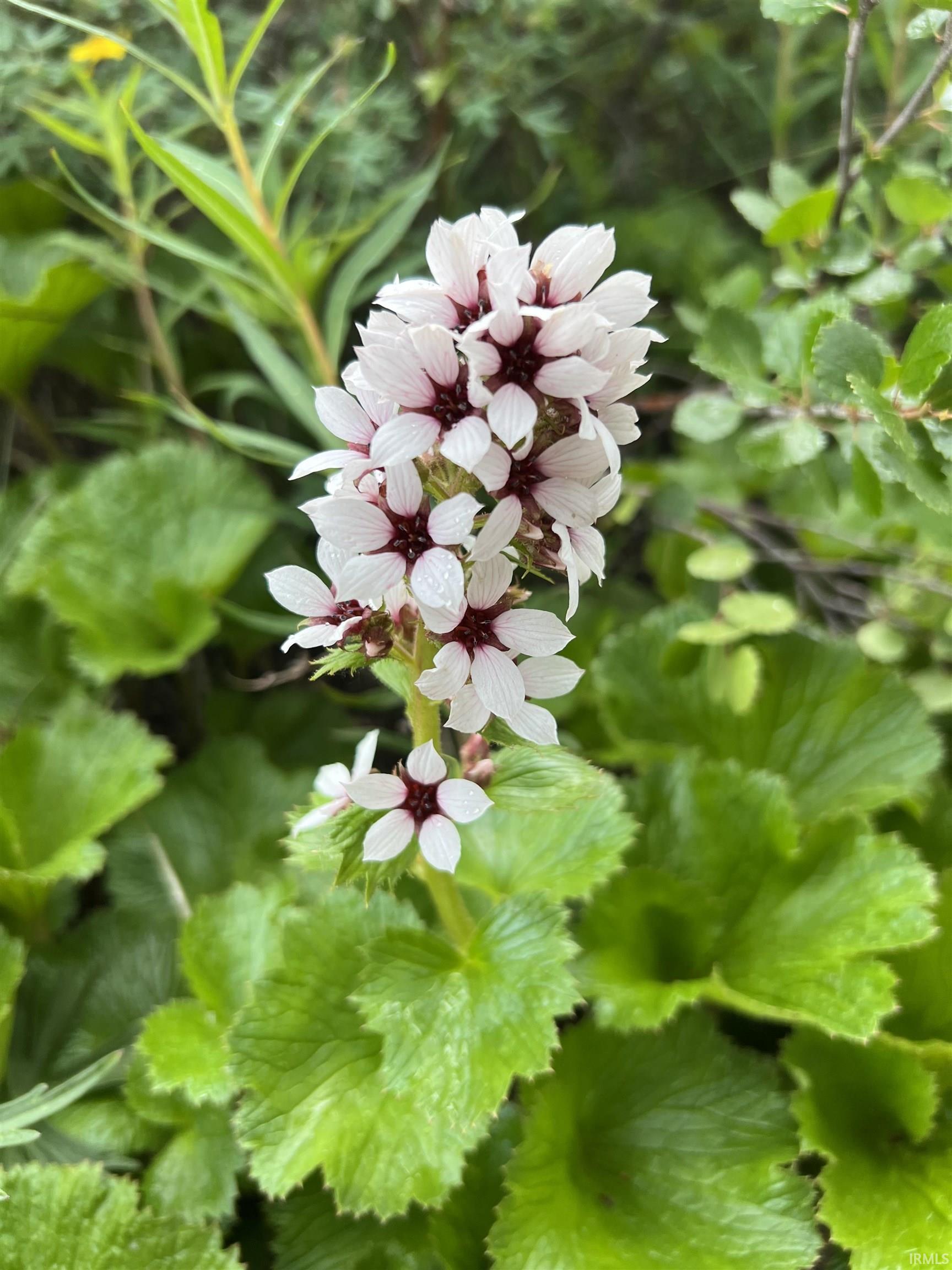 4617 Pottawatomie Pt Road Logansport, IN 46947 - Photo 33 of 33