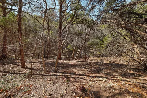 a view of a yard with large trees