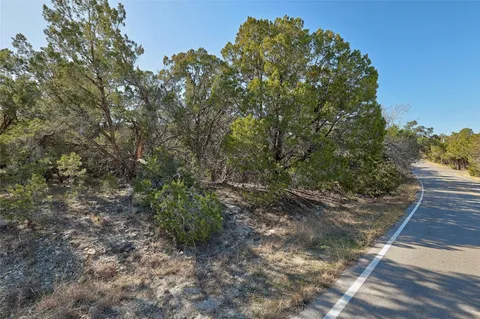 a view of a yard with plants and a tree