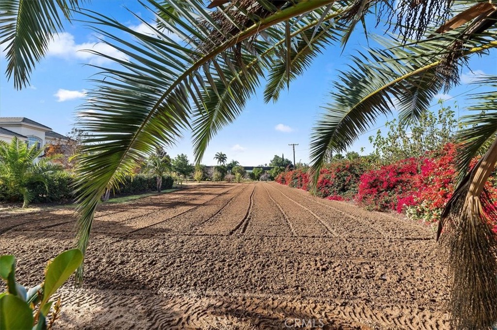 9830 Cleveland Avenue Riverside, CA 92503 - Photo 18 of 75