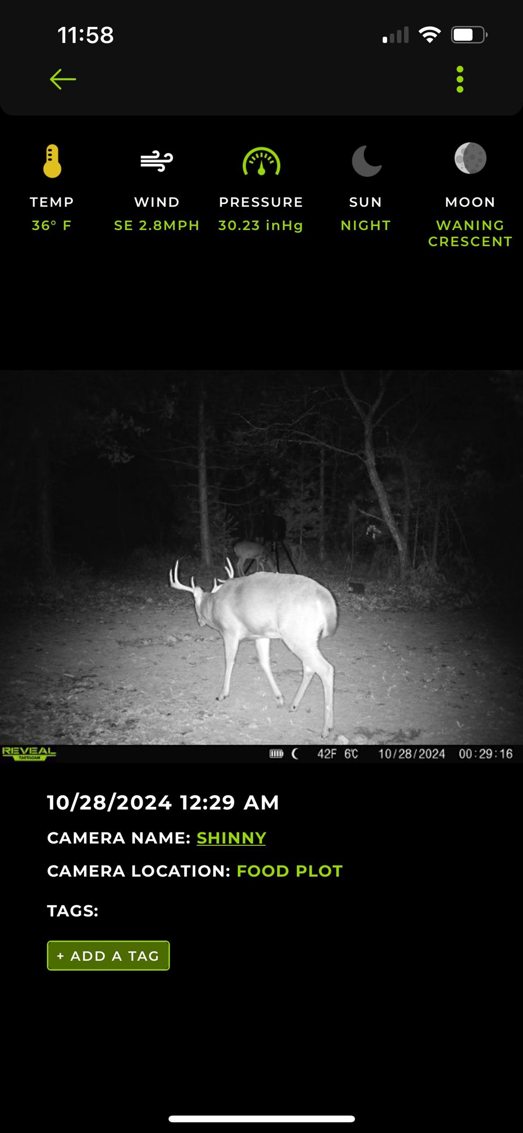 1667 East Walker Road Lake City, MI 49651 - Photo 33 of 54