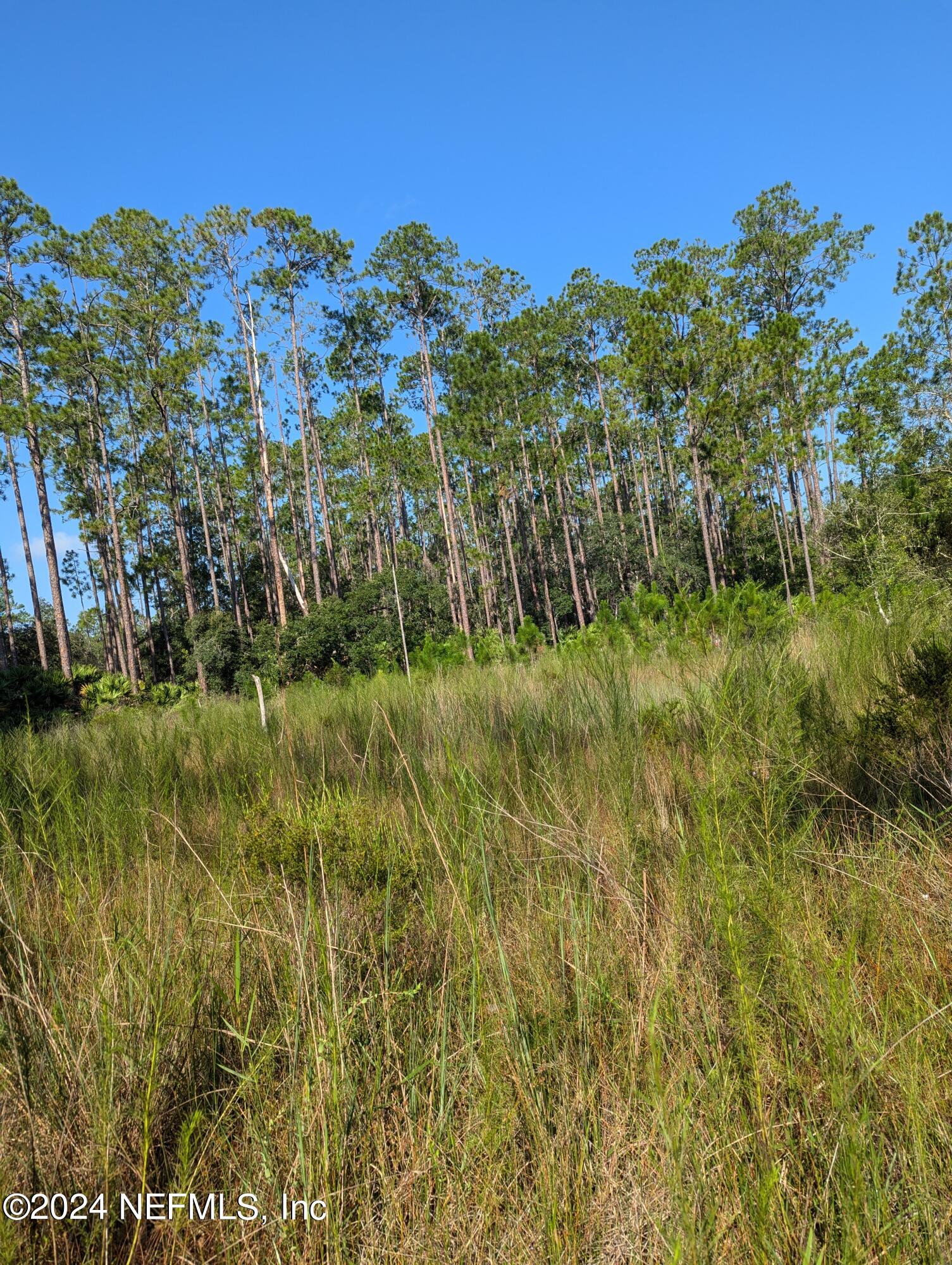 0 Garcia Street Interlachen, FL 32148 - Photo 3 of 9 PXL_20240817_134608802