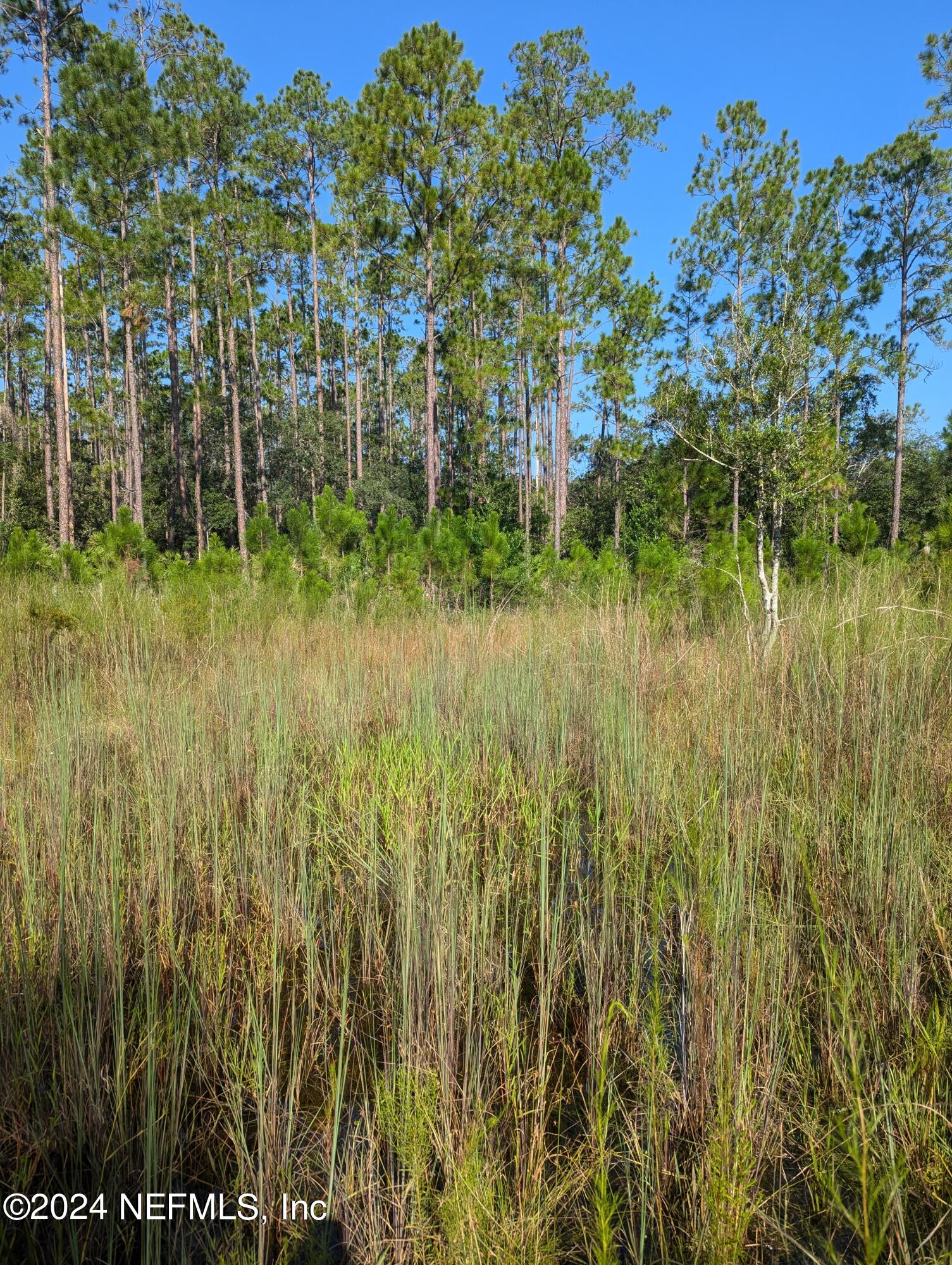 0 Garcia Street Interlachen, FL 32148 - Photo 5 of 9 PXL_20240817_134658301