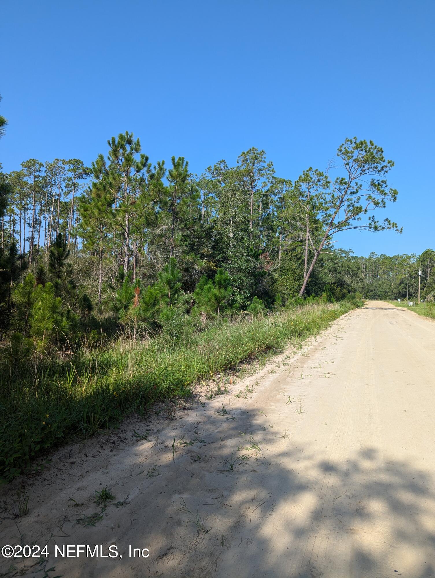 0 Garcia Street Interlachen, FL 32148 - Photo 8 of 9 PXL_20240817_134903696