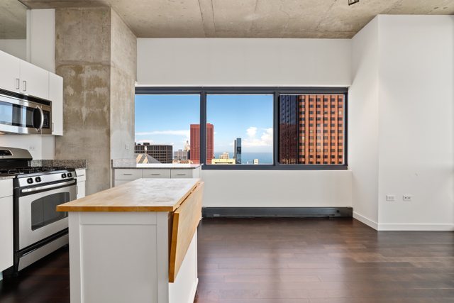 235 West Van Buren Street, Unit 3303 Chicago, IL 60607 - Photo 12 of 24