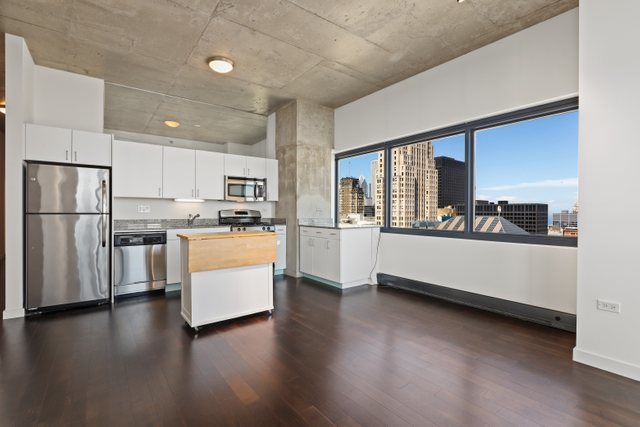 235 West Van Buren Street, Unit 3303 Chicago, IL 60607 - Photo 14 of 24