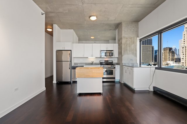 235 West Van Buren Street, Unit 3303 Chicago, IL 60607 - Photo 15 of 24