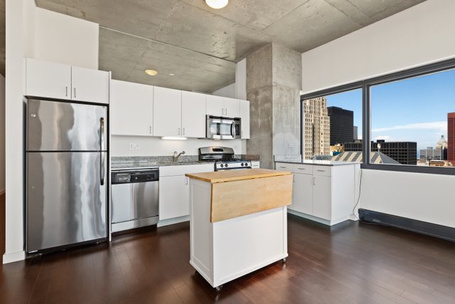 235 West Van Buren Street, Unit 3303 Chicago, IL 60607 - Photo 18 of 24