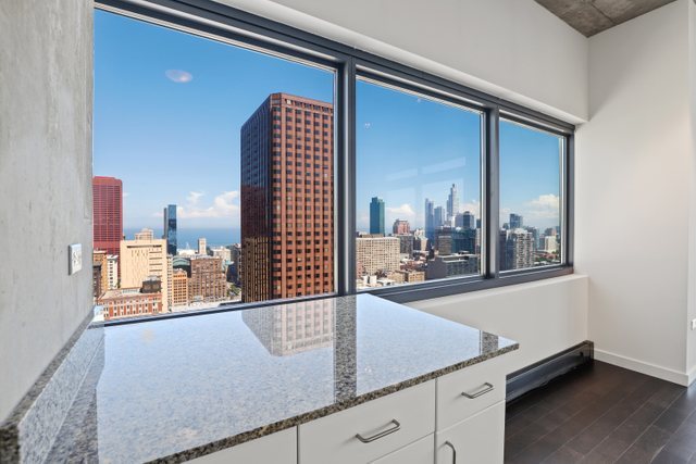 235 West Van Buren Street, Unit 3303 Chicago, IL 60607 - Photo 3 of 24