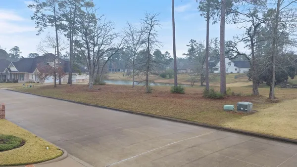 a view of a park with large trees