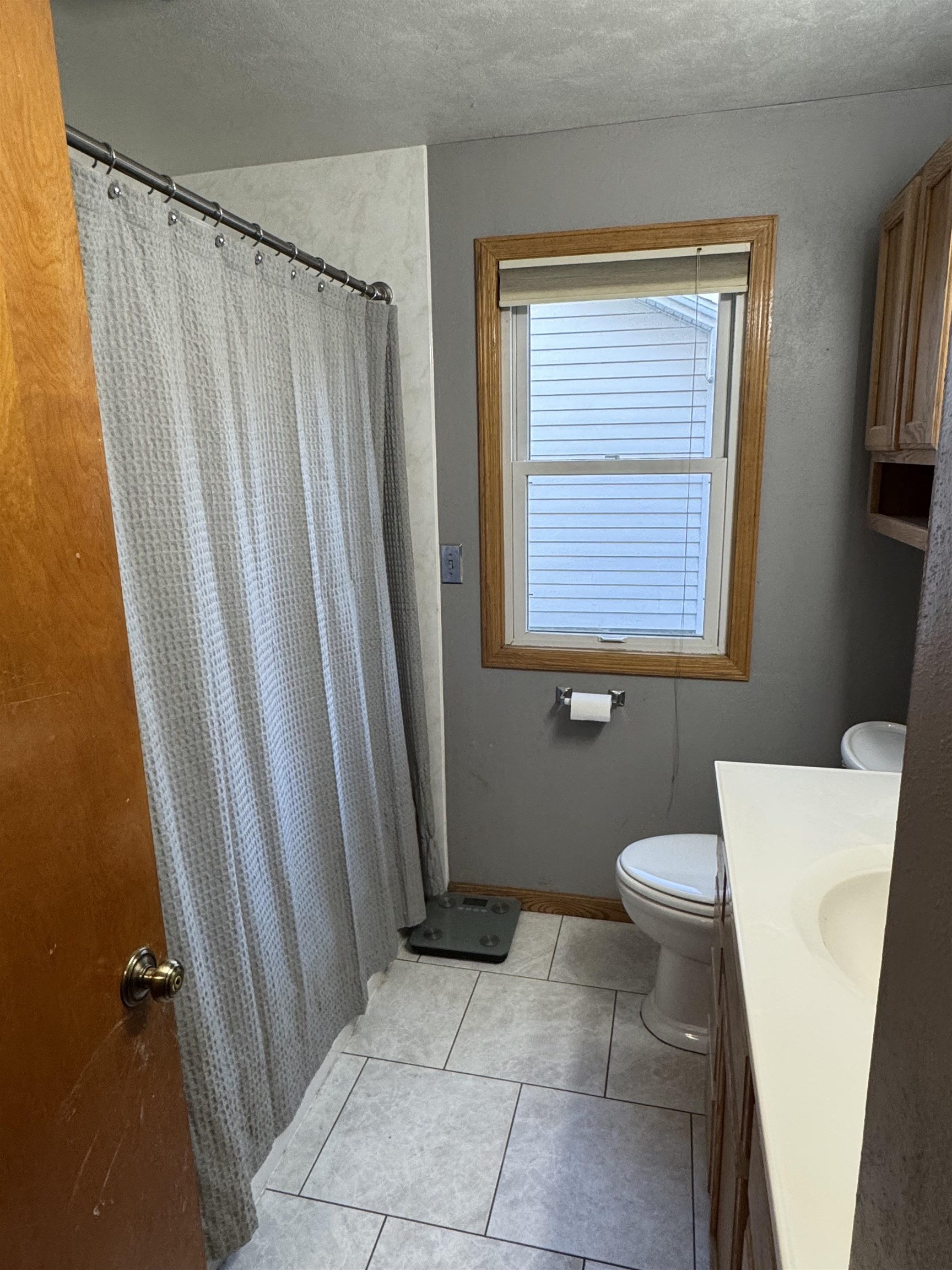 227 Windsor Street Sun Prairie, WI 53590 - Photo 12 of 36