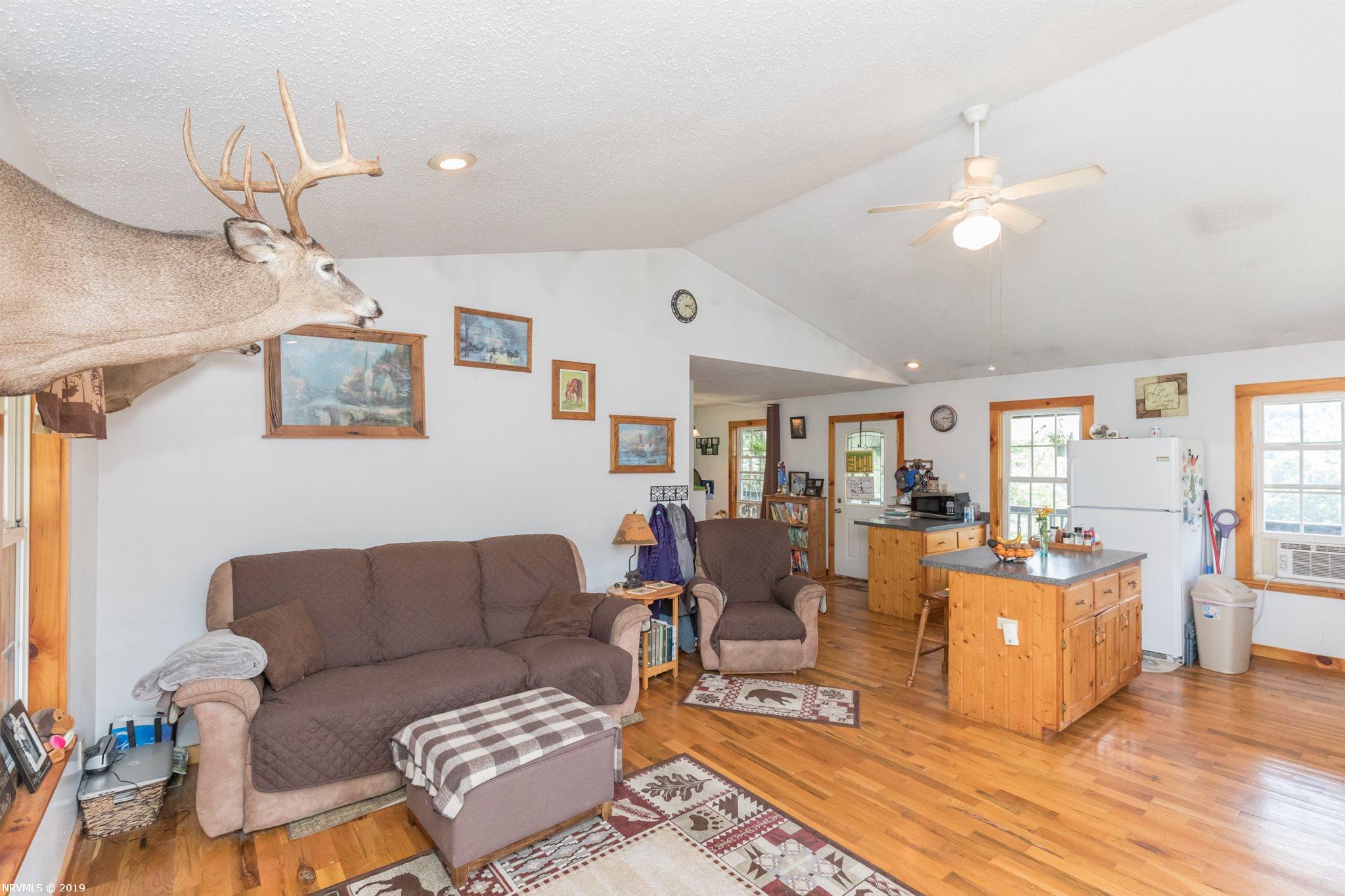 5305 Spring Valley Road, Unit 1 Elk Creek, VA 24326 - Photo 8 of 68 Gallery Image 8