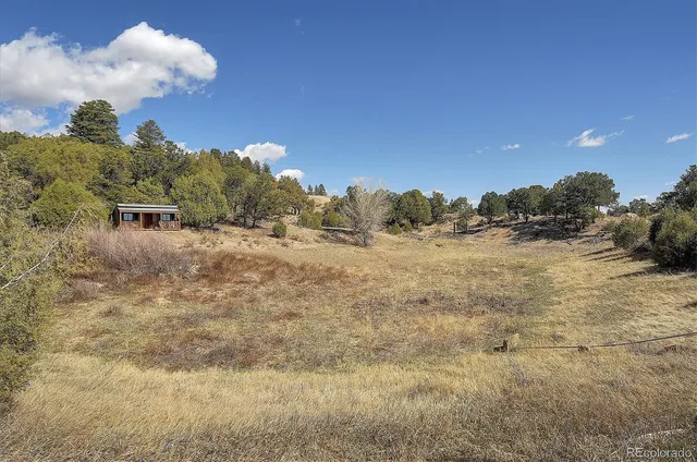a view of a dry yard with trees