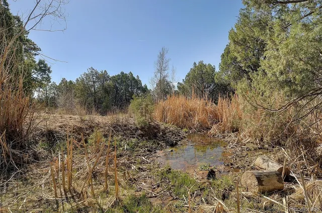 a view of a yard with a tree