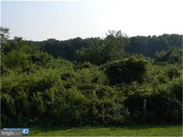 83 Stewart Road Pilesgrove, NJ 08098 - Photo 21 of 25 Exterior Back