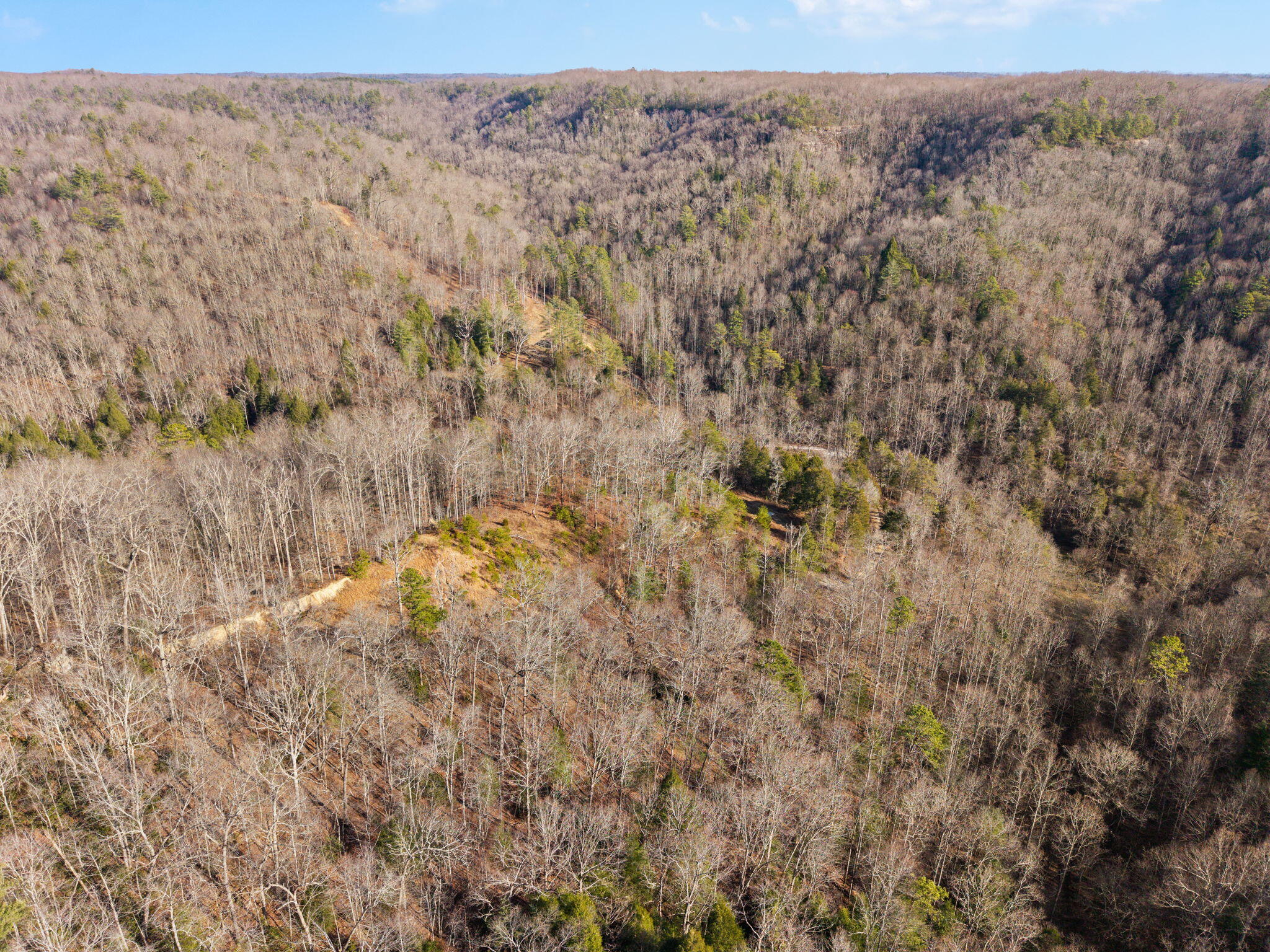 22 Still Hand Zoe, KY 41397 - Photo 71 of 76 90-web-or-mls-DJI_20260107142603_0099_D