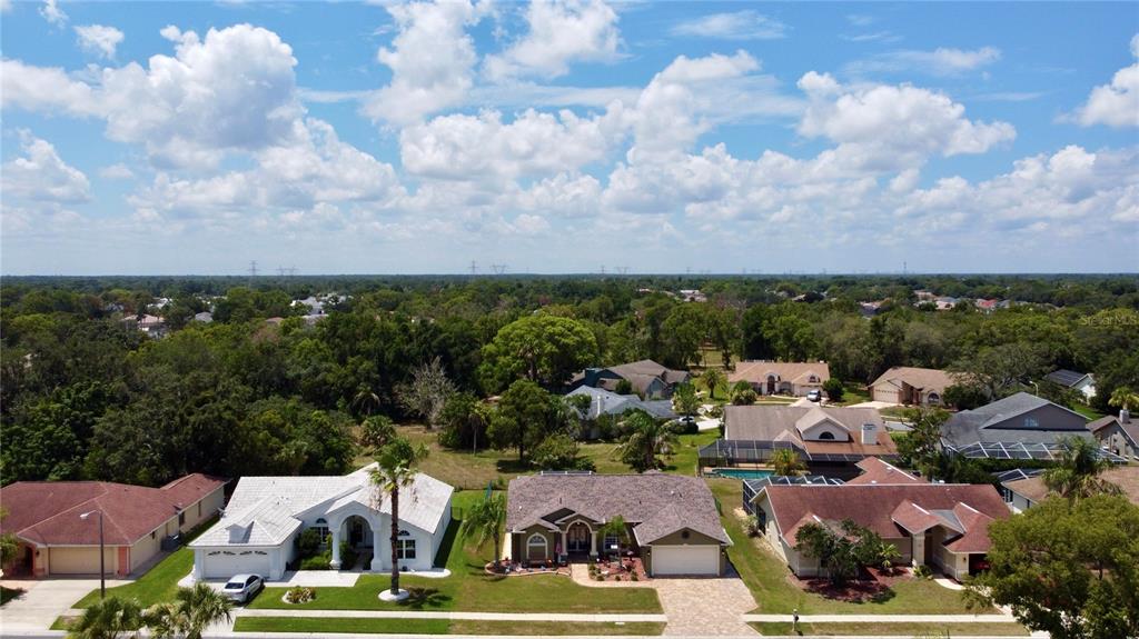 10428 Henderson Street Spring Hill, FL 34608 - Photo 40 of 41