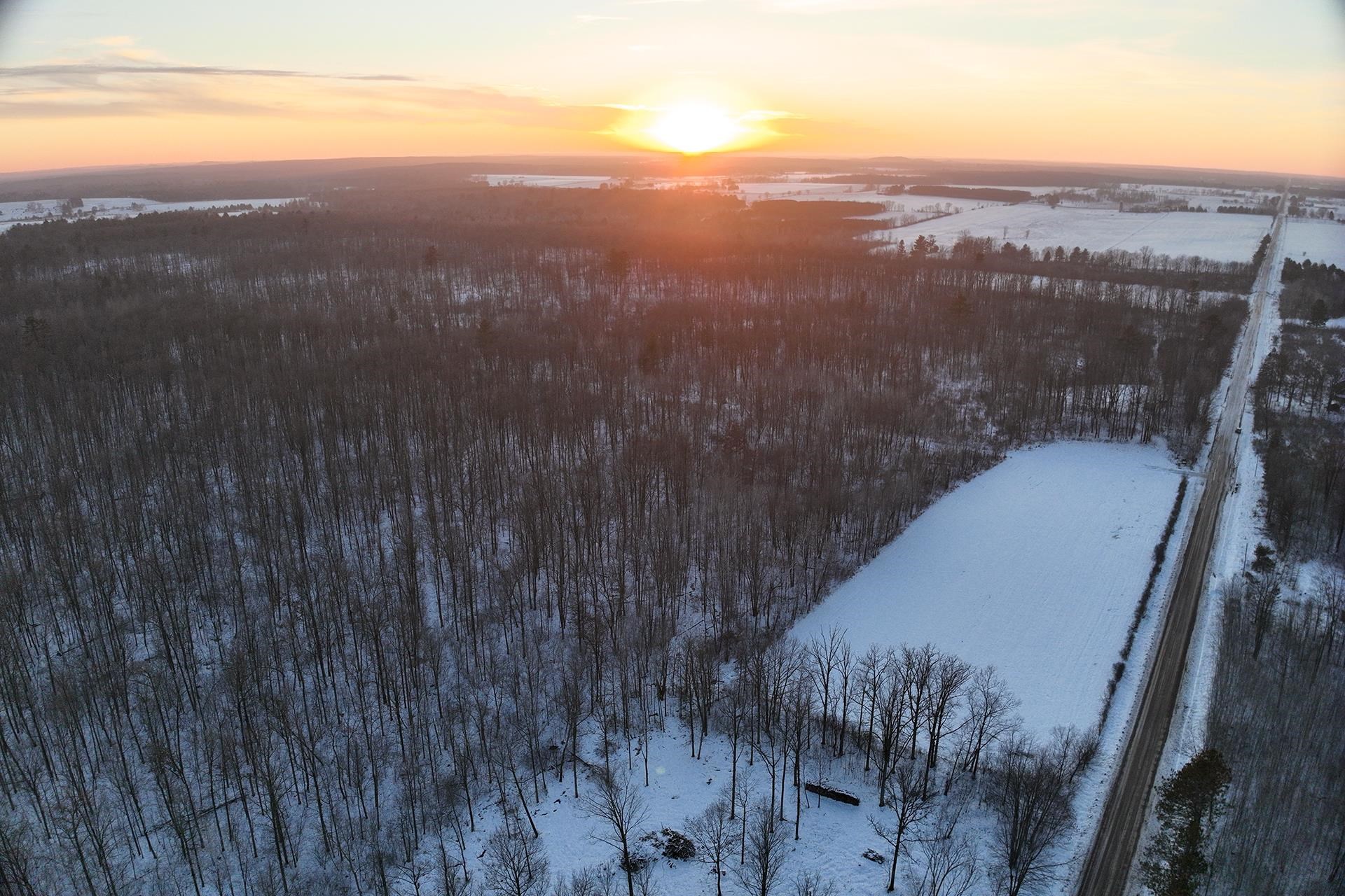 65.32-acres Bobwhite Road Neillsville, WI 54456 - Photo 10 of 26