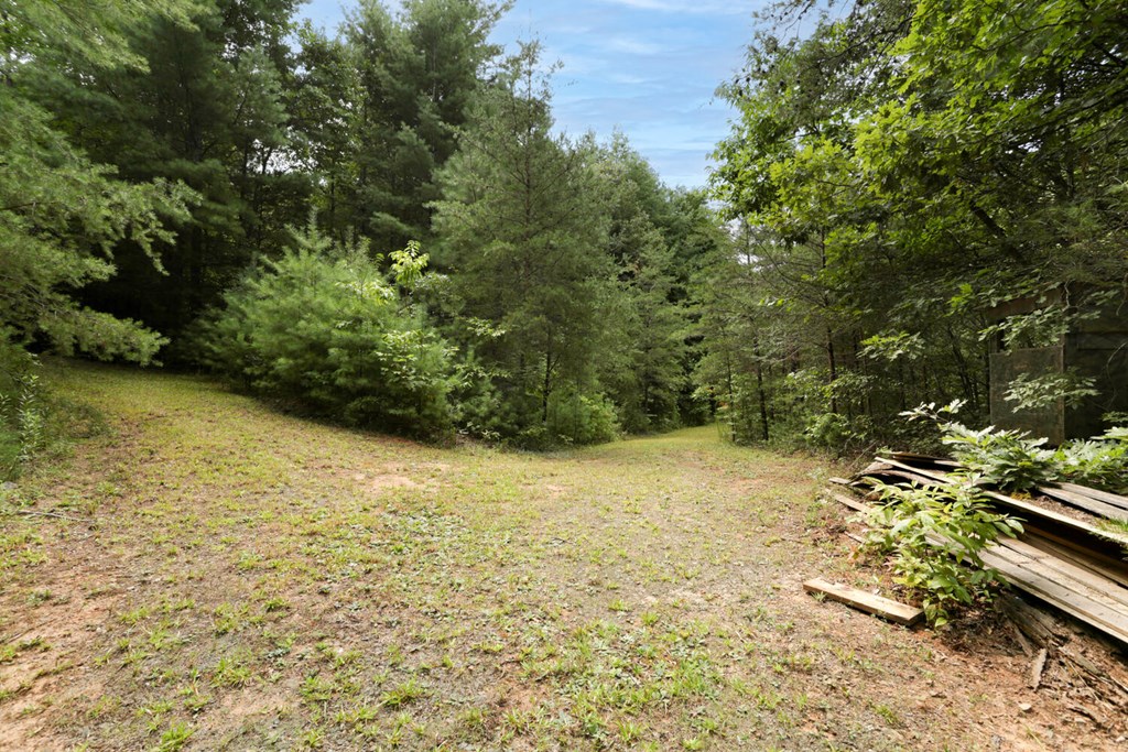 1124 River Hill Road Murphy, NC 28906 - Photo 19 of 52 Gallery Image 19