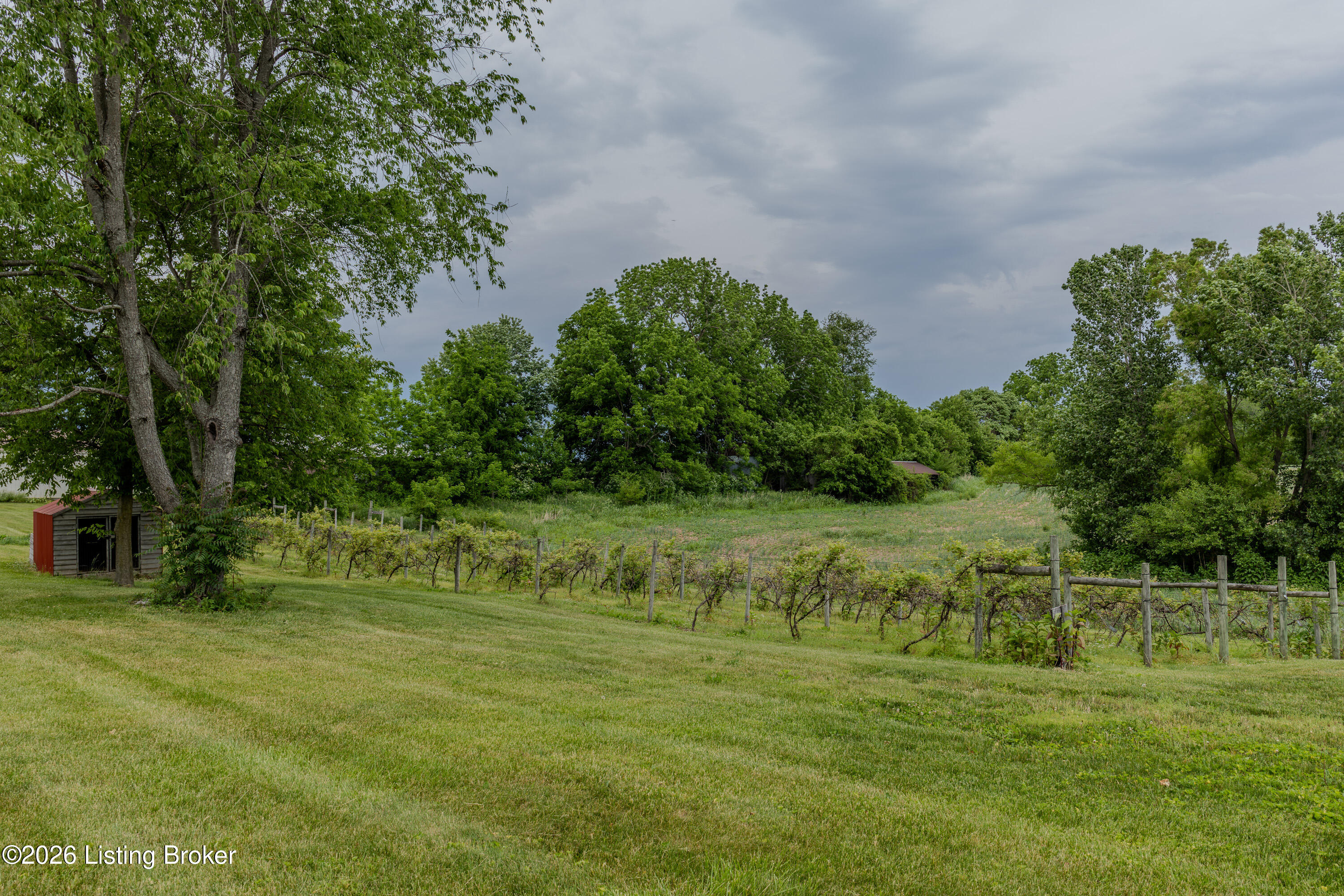 650 Midway Road Guston, KY 40142 - Photo 66 of 72 BACK YARD(6)